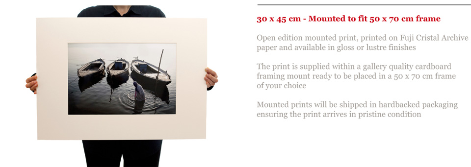 Denizen Prints